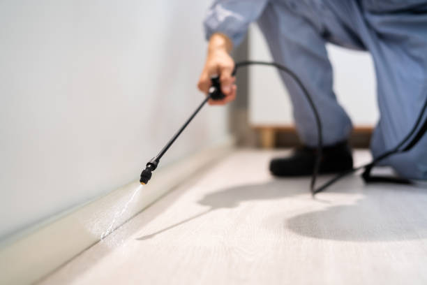 Licensed Pest Control service in Massachusetts, MA - Show Me Pest Control