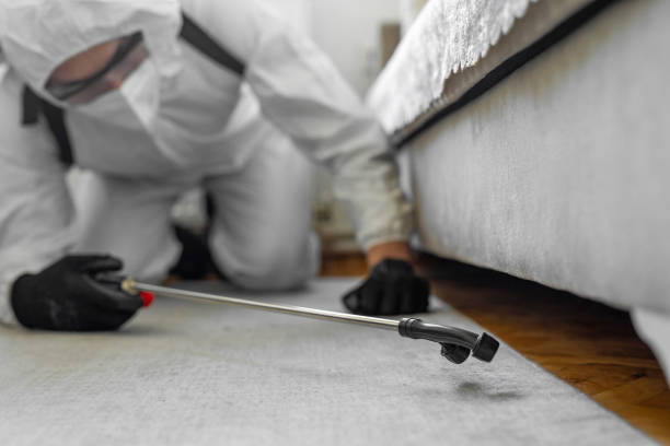 Professional Pest Control technician working in Massachusetts, MA