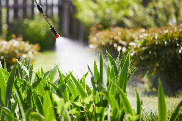 24/7 Emergency Pest Control experts in Massachusetts, MA