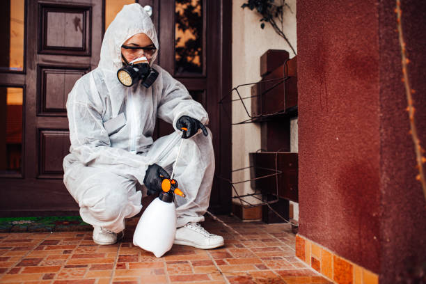 Reliable Pest Control contractor in Massachusetts, MA by Show Me Pest Control